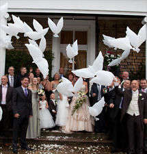 95cm Biodegradable Dove Balloons